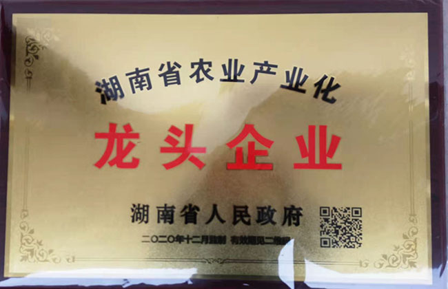 购宝钱包-全球领先的区块链支付钱包