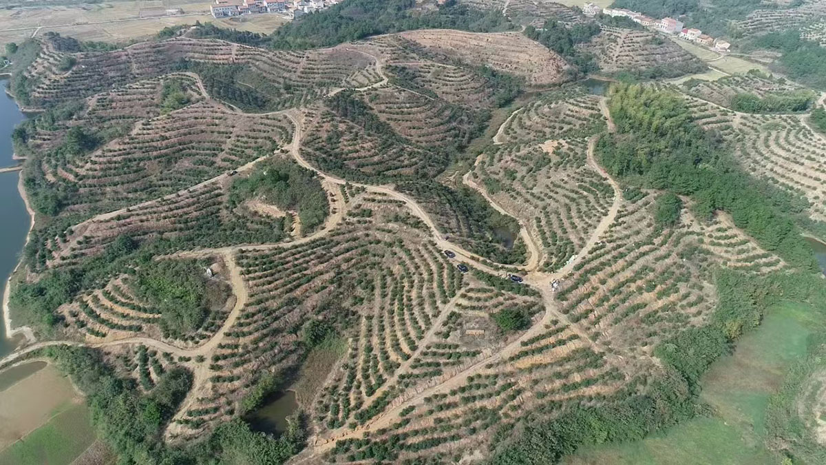 购宝钱包官网农业曹田基地
