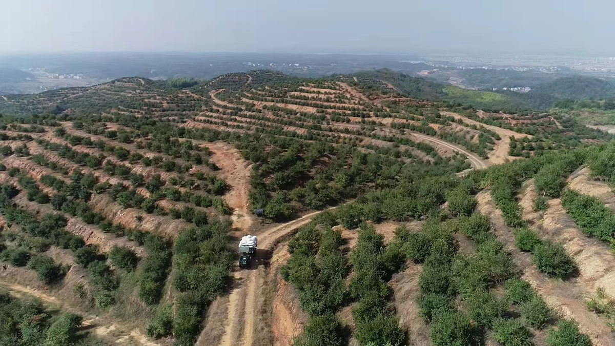 购宝钱包官网农业八百基地