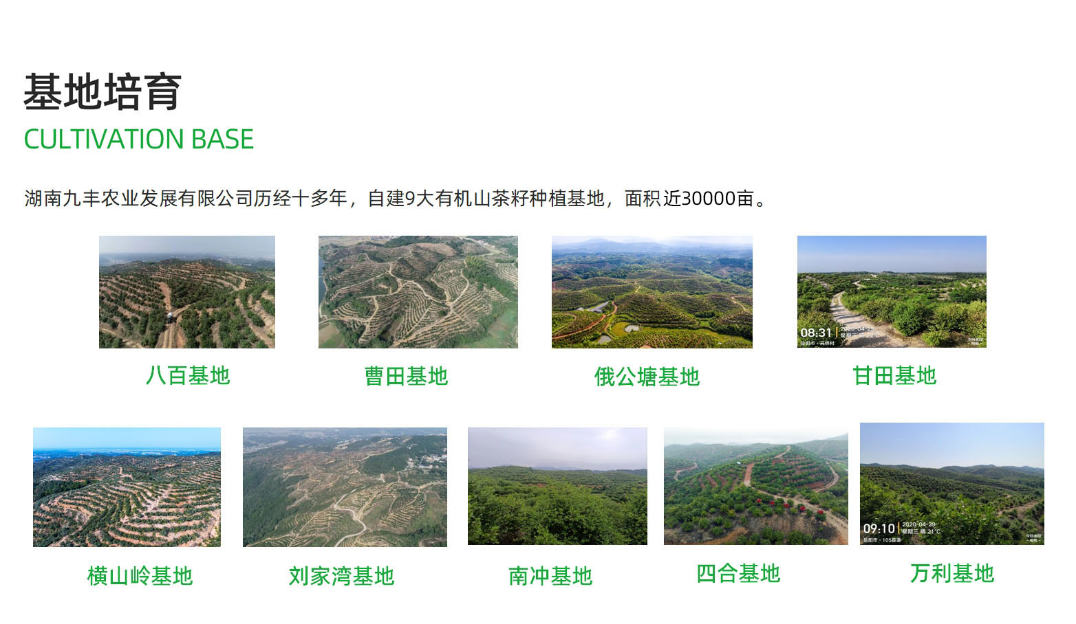购宝钱包-全球领先的区块链支付钱包