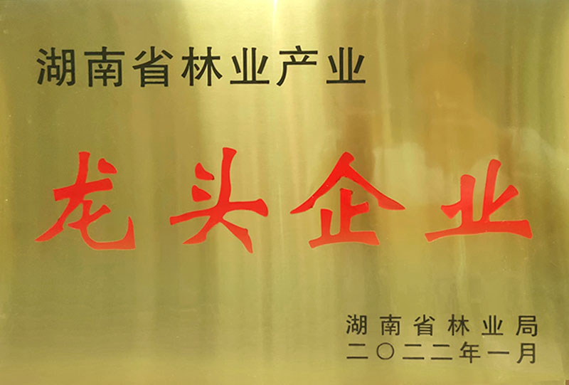 湖南省林业工业龙头企业