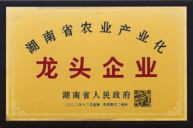 湖南省农业工业化龙头企业
