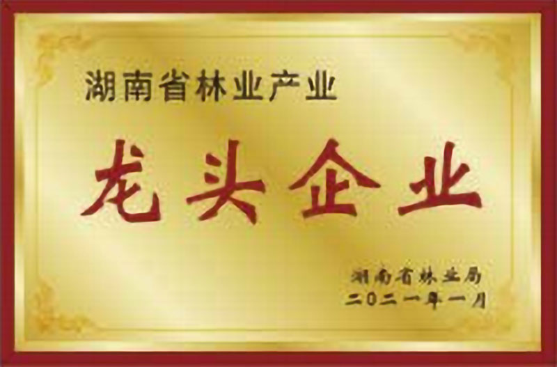 湖南省林业工业龙头企业