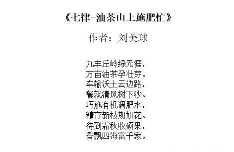 购宝钱包-全球领先的区块链支付钱包