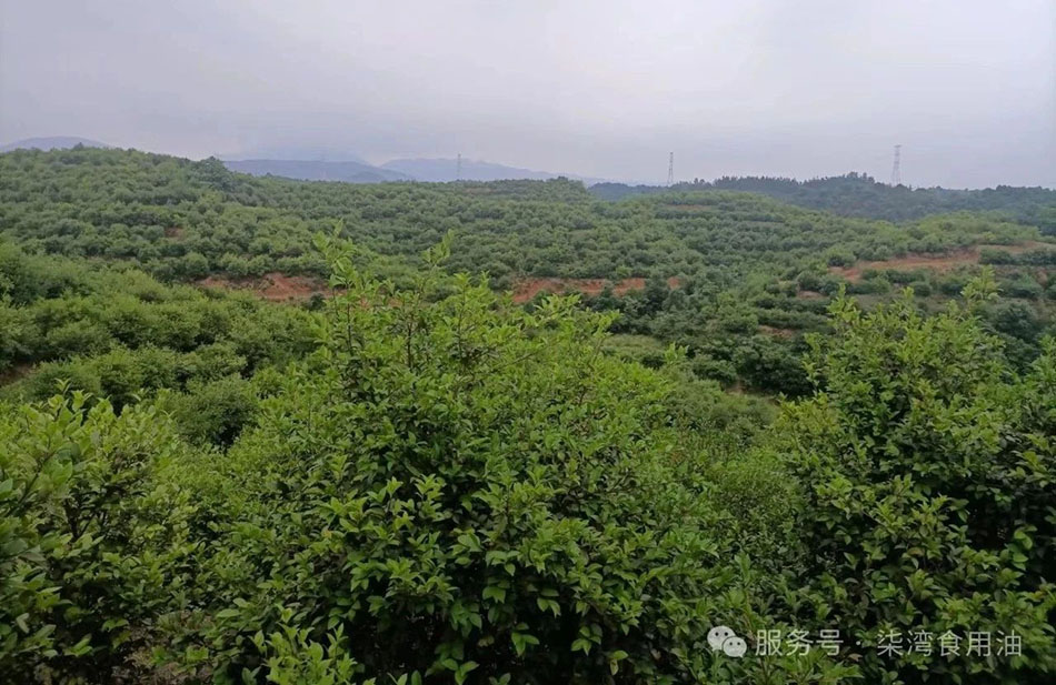购宝钱包-全球领先的区块链支付钱包