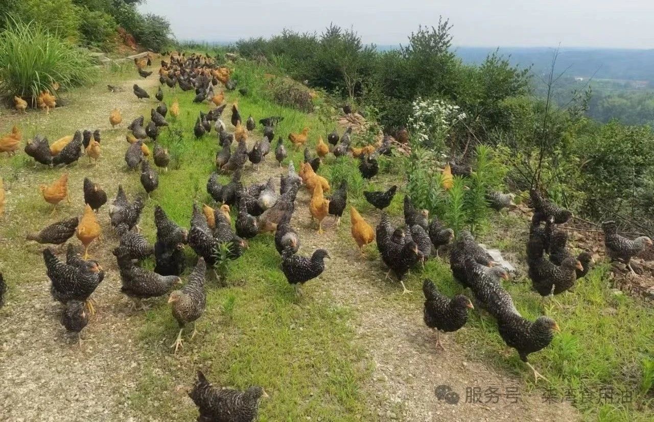 购宝钱包-全球领先的区块链支付钱包