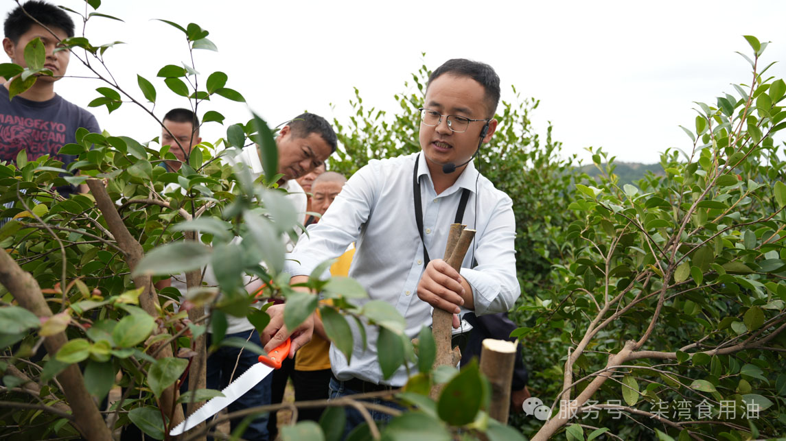 购宝钱包-全球领先的区块链支付钱包